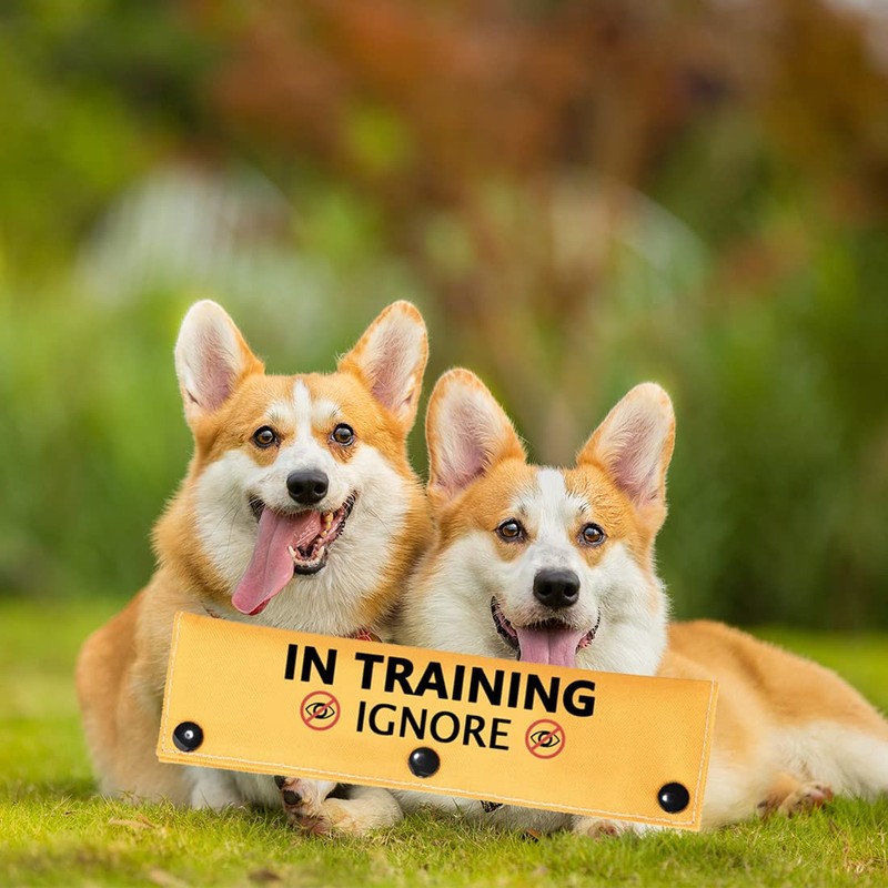 In Training Ignore Dog Leash Sleeve Dot Not Pet Working