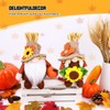 BWFY 2pcs Fall Gnomes Decorations for Home, Thanksgiving Gnomes Plush