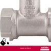 Schläfer 0928500 | Accessories - Straight Detenter Valve Female 1/2