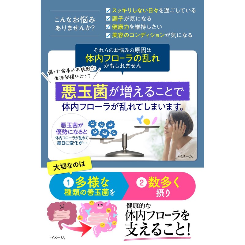 ビオエール 毎日爽快宣言 生きた乳酸菌 贅沢配合 6兆個 有胞子性乳酸菌 ビフィズス菌 酪酸菌 オリゴ糖 イヌリン