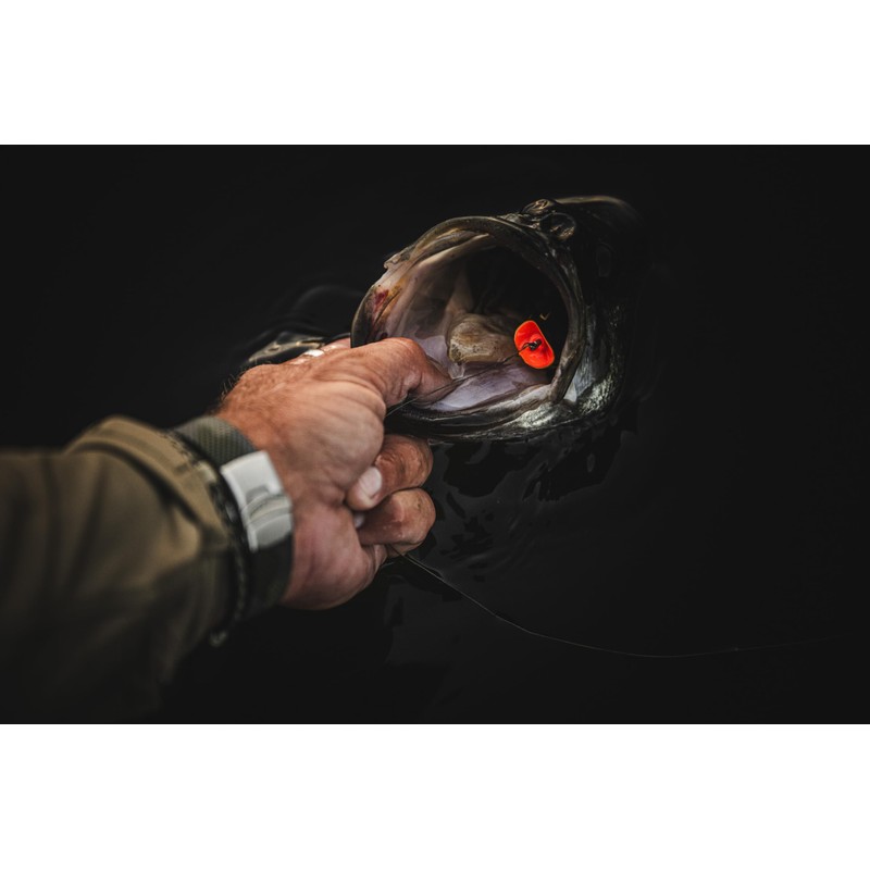 Swamp Lord Hollow Body Frog-Bully-2/3 oz-2.6in