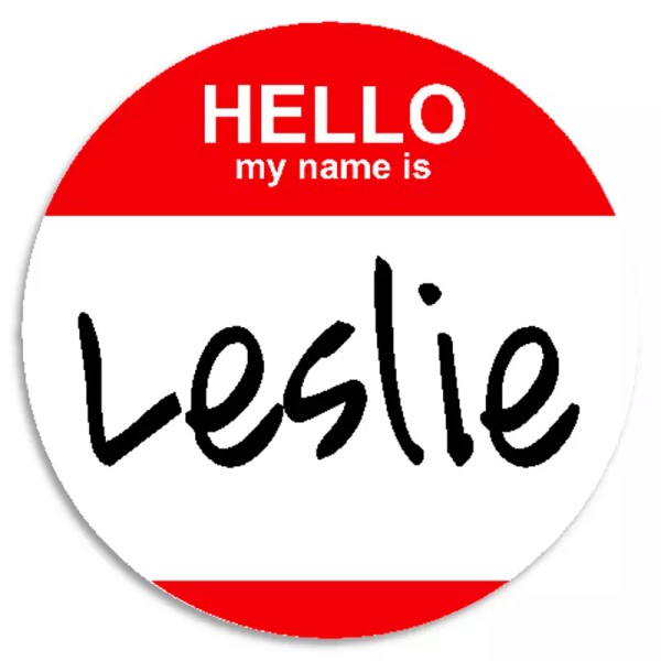 Kiwi Gifts Hello My Name Is Leslie - 100 Pack