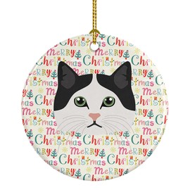 Ragamuffin Cat Christmas Ceramic Ornament