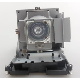 CTLAMP Compatible BL-FS300C Replacement Projector Lamp Bulb with Housing Compatible with OPTOMA TH1060P TX779P-3D D-952HD