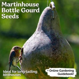 KVITER 10 Purple Martin Bird House Gourd Seeds for Planting (Lagenaria Siceraria) – Bottle Gourd, Calabash, Lauki, Opo, Heirloom Vegetable Garden Seeds – Gourds for Crafts, Martin Houses for Outdoors