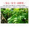 Yae Nadeshiko Moringa Tea Bag 160 g (2 g x