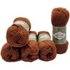 5 x 100 g Ilkadim Export Alpaca Royal Knitting Wool,