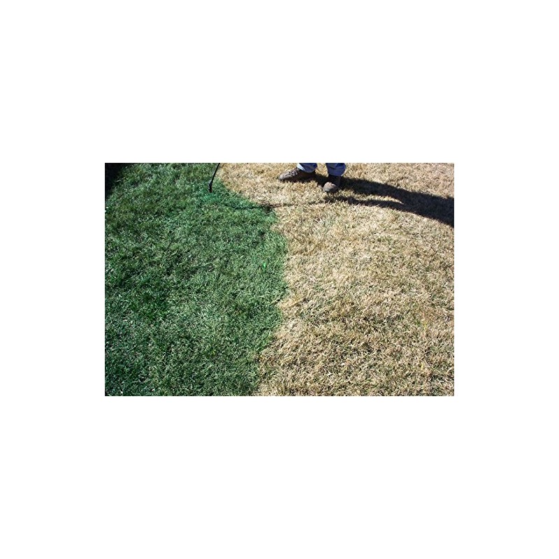 nviroColor 4EverGreen Grass Colorant/Turf Paint – 32 oz Concentrate Covers