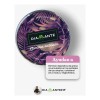 Semillas Diamante Fit X 90 Desintoxica Baja Peso