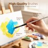 JYN‑ANREN 24Pcs Paint Brush Set, Professional 9 Shapes: Wide Flat,