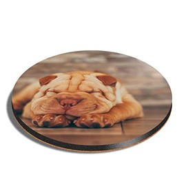 1 x Round Coaster - Shar Pei Dog Puppy Animal Pet Cork Backed MDF Glossy Tea Coffee Accessory #12680