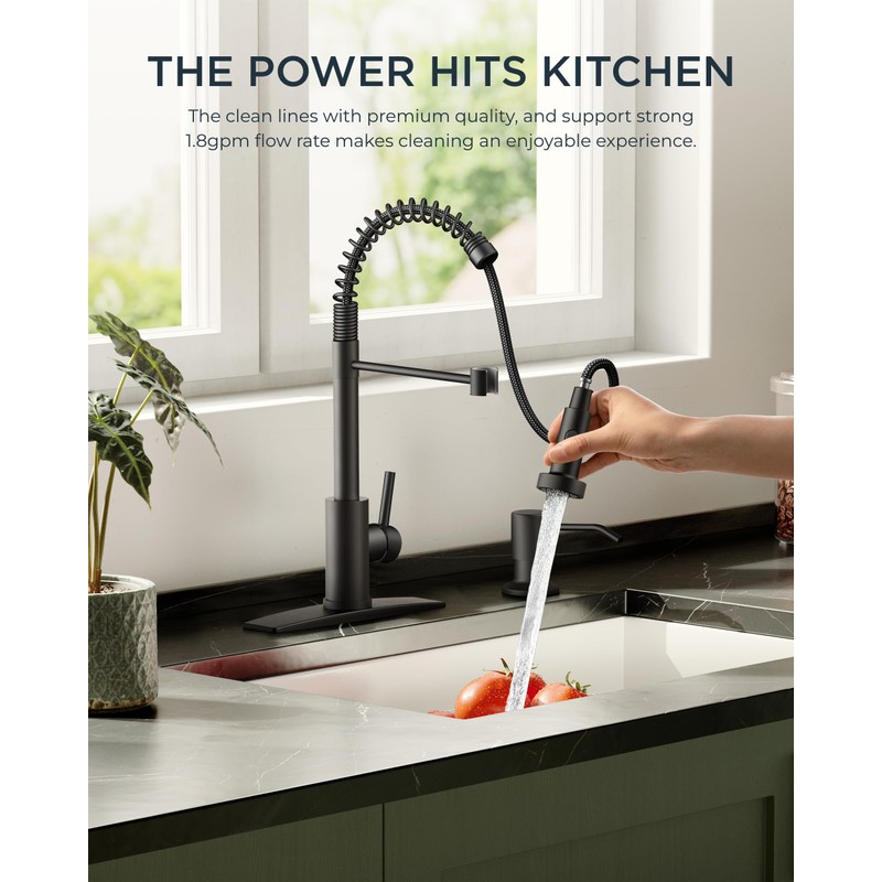 FORIOUS Black Kitchen Faucet with Pull Down Sprayer, Stainless Steel