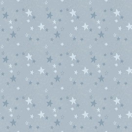 Safari Stargazing Boy Stars Blue - Designer Flannel F15311 by RBD Designers for Riley Blake Designs