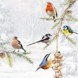 The Almanac Gallery Box of 20 Artistic Charity Christmas Cards - 'Winter Birdbath and Winter Feeder' - Lovely Artistic Designs with British Birds - 20 Cards, 10 Each of 2 Designs