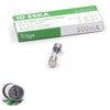 10 x Glass Fuses 0.5A/250V AC 5x20mm Delayed