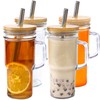 Glass Cup with handle - 24oz Tumbler glass cup with