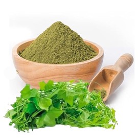 Ivy Gourd (Coccinia Grandis) Leaf Powder 100% Pure & Fresh Quality (100g)