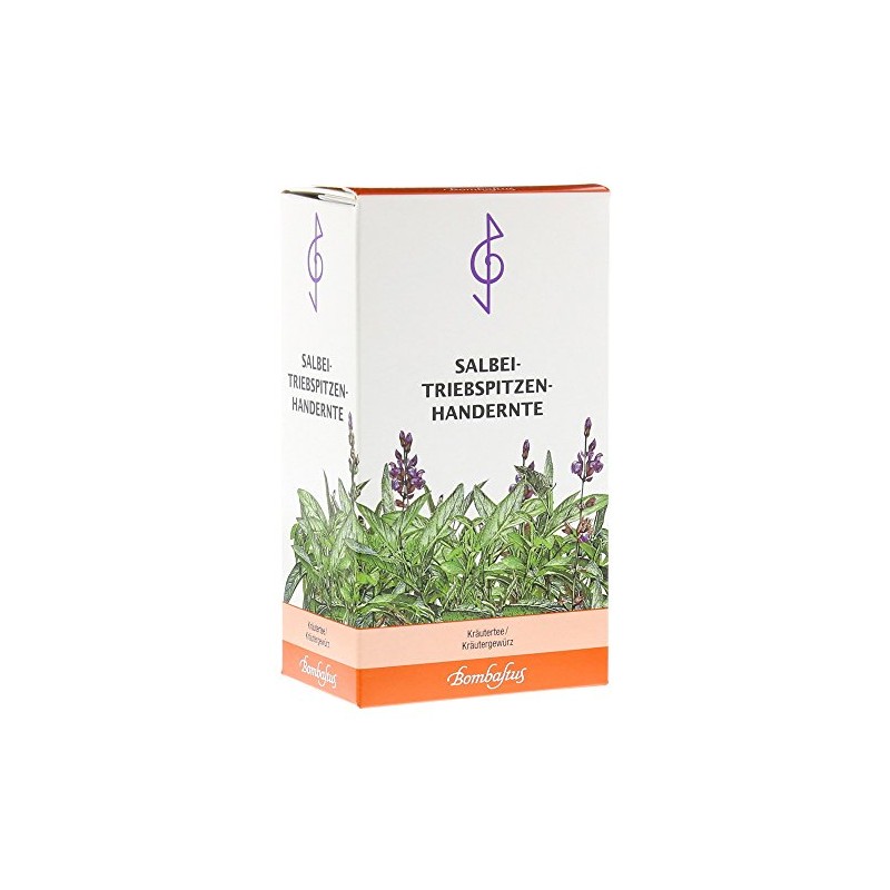 Sage shoot tips tea hand harvest