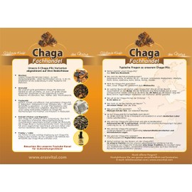 Chaga Mushroom with Jasmine Blossoms Portioned in 120 Bags 1 g Each Wild Collected Gently Dried Vegan Includes Brochure with Many Recipes (120 g (Pack of 1)