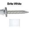 Stainless Steel Metal Roofing Screw: Brite White (250) 12 x
