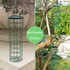 Suet Ball Bird Feeder Outdoor Hanging Metal Wire Wild Bird