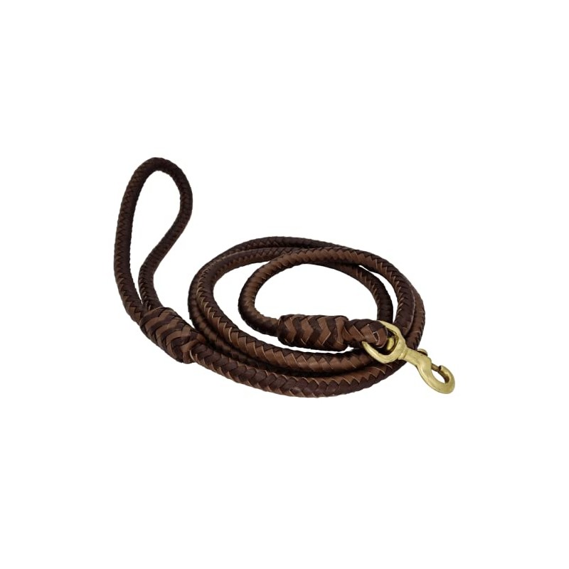 BlazingPaws® Elegania 6 Ft Premium Leather Dog Leash for Large