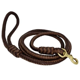 BlazingPaws® Elegania 6 Ft Premium Leather Dog Leash for Large Dogs, Luxury Braided Show Leash, Top Grain Leather Lead (Tan/Brown, 6 Ft)