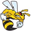 Ski-Doo Angry Bee X Large Decal 24" Fast from The