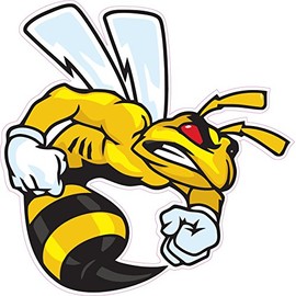 Ski-Doo Angry Bee X Large Decal 24" Fast from The United States