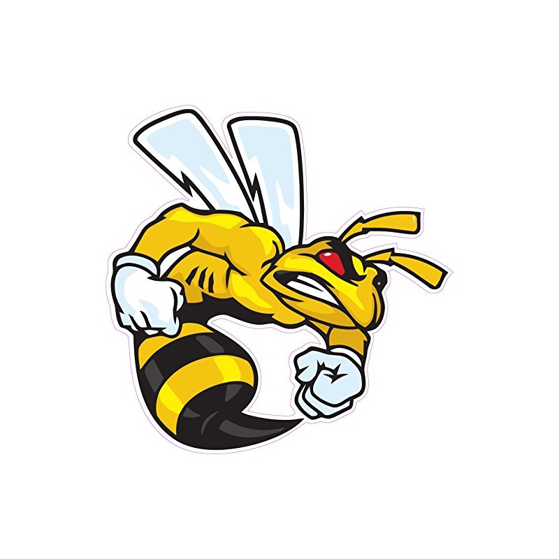 Ski-Doo Angry Bee X Large Decal 24" Fast from The
