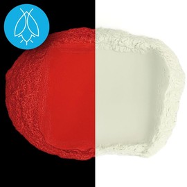 Glow in The Dark Pigment Powder - Neutral and Fluorescent Color for Art Painting, Fine Art, Nail Art Paint, and DIY Crafts - Long Lasting, 10+ Color Options - Neutral Red - (60 Grams)