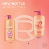 Elvive Dream Lengths Shampoo