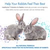 Equa Holistics HealthyGut Probiotics for Rabbits Dietary Supplement, All-Natural Digestive