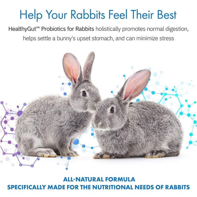Equa Holistics HealthyGut Probiotics for Rabbits Dietary Supplement, All-Natural Digestive