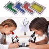 Pack of 48 Microscope Slides Biological, Microscope Sample Film, Children's