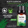 Naturalcare Aceite Esencial De Árbol De Té 100% Natural Puro