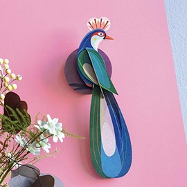 AVE DEL PARAISO, BANDA