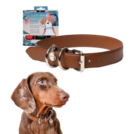 AMIKOO | Collar para Perro | Diseño Artesanal Mexicano | Hecho de Piel Vegana | Compra con Causa | Accesorios para Perros | Cruelty Free | Café | Talla XL