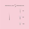 LLBA Promade Mix 750 Fans | Handmade Volume Eyelashes |
