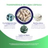 MegaBiotic Prebiotic Blend, Prebióticos 120 cápsulas 1130mg por porción