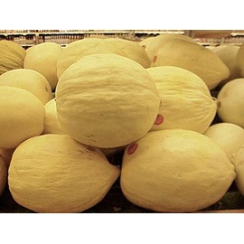 Cantaloupe Melon Crenshaw Seeds Great Heirloom Vegetable (5 Lb Seeds)