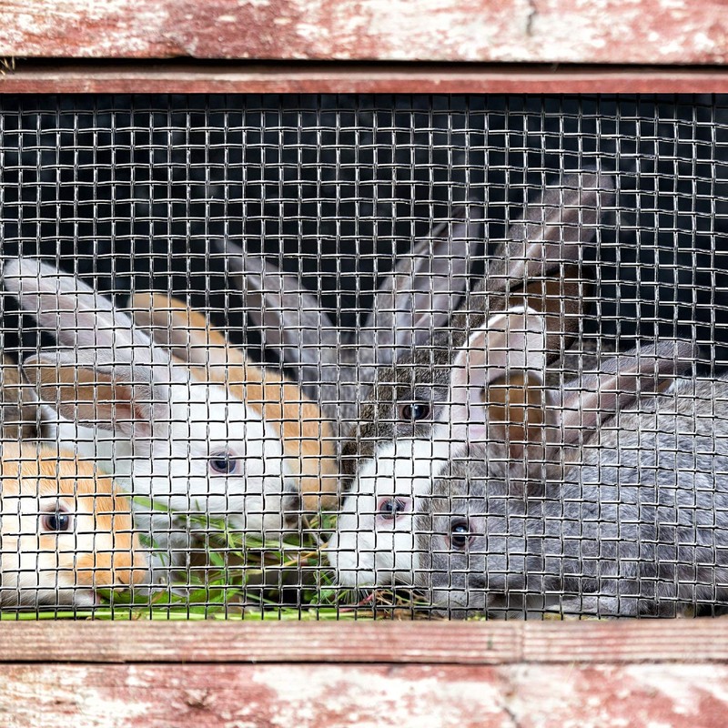 SATINIOR 2 Packs Stainless Steel Woven Wire Mesh Rodent Proof