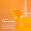 Proper Proper Wellness Boost Bundle: Greens & Immune Support Drink