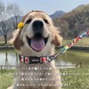 Petilet 犬 リード&首輪 犬の首輪リード 小型中型大型犬用首輪 おしゃれ 調節できる首輪 反射 伸縮 ハーネス