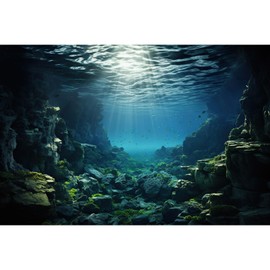 Aquarium Backdrop Underwater Coral Reef with Fishes Sun Rays Terrarium Background Under Water Rocks with Moss Fish Tank Backdrop Aquarium Wallpaper Poster Decor Vinyl 36x18in