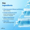 Isntree [Isntree]Ultra-Low Molecular Hyaluronic Acid Toner 300ml