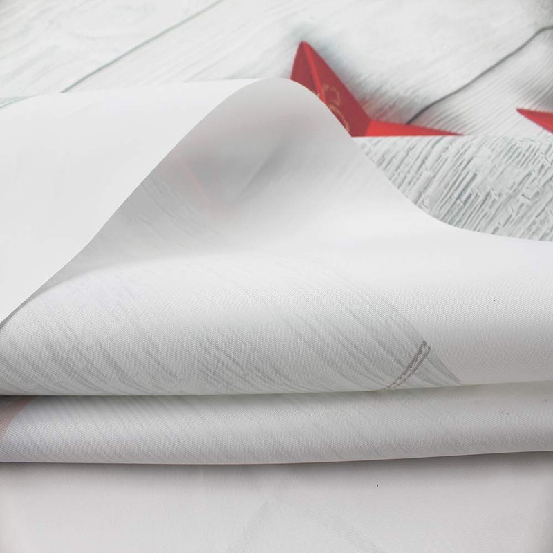 OUYIDA Christmas Theme 5X7FT Vinyl Seamless Pictorial Photography Background Computer-Printed