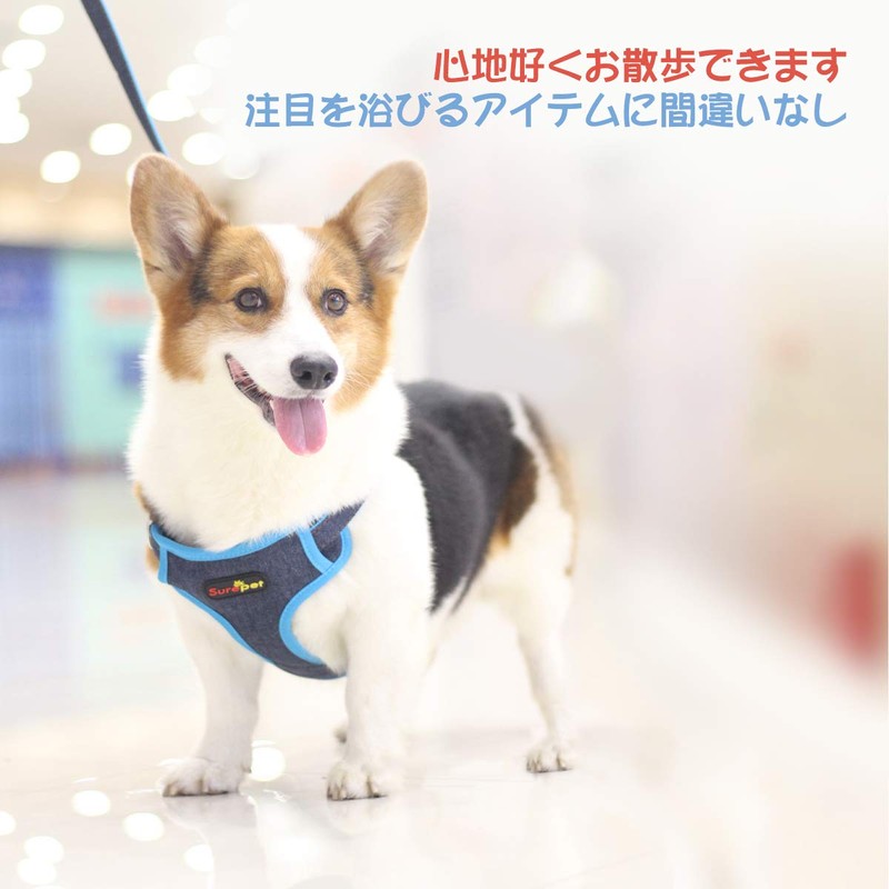 Harness, Leashe, Soft, Pet Supplies, Dog Harness, Vest Harness, Dog
