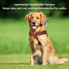 Polyester & Genuine Leather No Pull Dog Harness with Reflective Strips, Lightweight Vest with AirTag Holder for Small Sized Dog, Adjustable Puppy Harness with Leash, Cat Harness and Leash