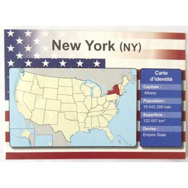 OPO 10 - Set of 4 Metal USA Car License Plates - Replica of Genuine USA New York City NYC License Plates